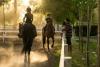 Foto de Club Hpico Mendoza-deportes con caballos
