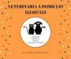 Veterinario a domicilio mendoza