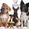 Artemis Pet Store